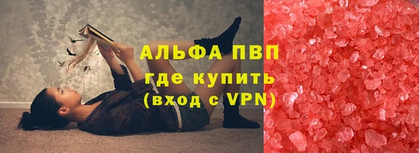 сатива Баксан
