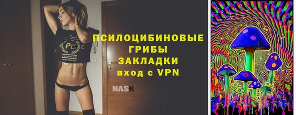 СК Протвино